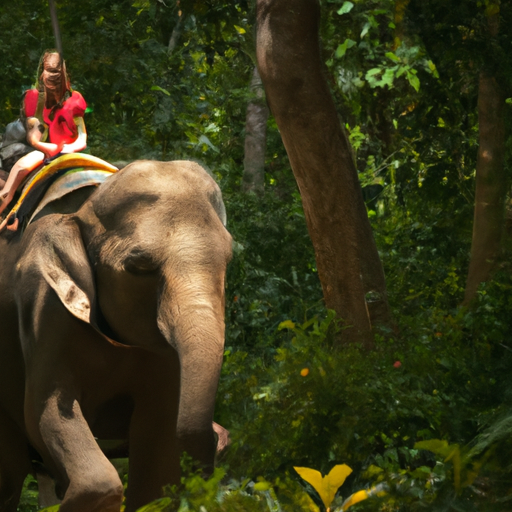 ילדה צעירה במסע פילים בג'ונגל התאילנדי השופע
